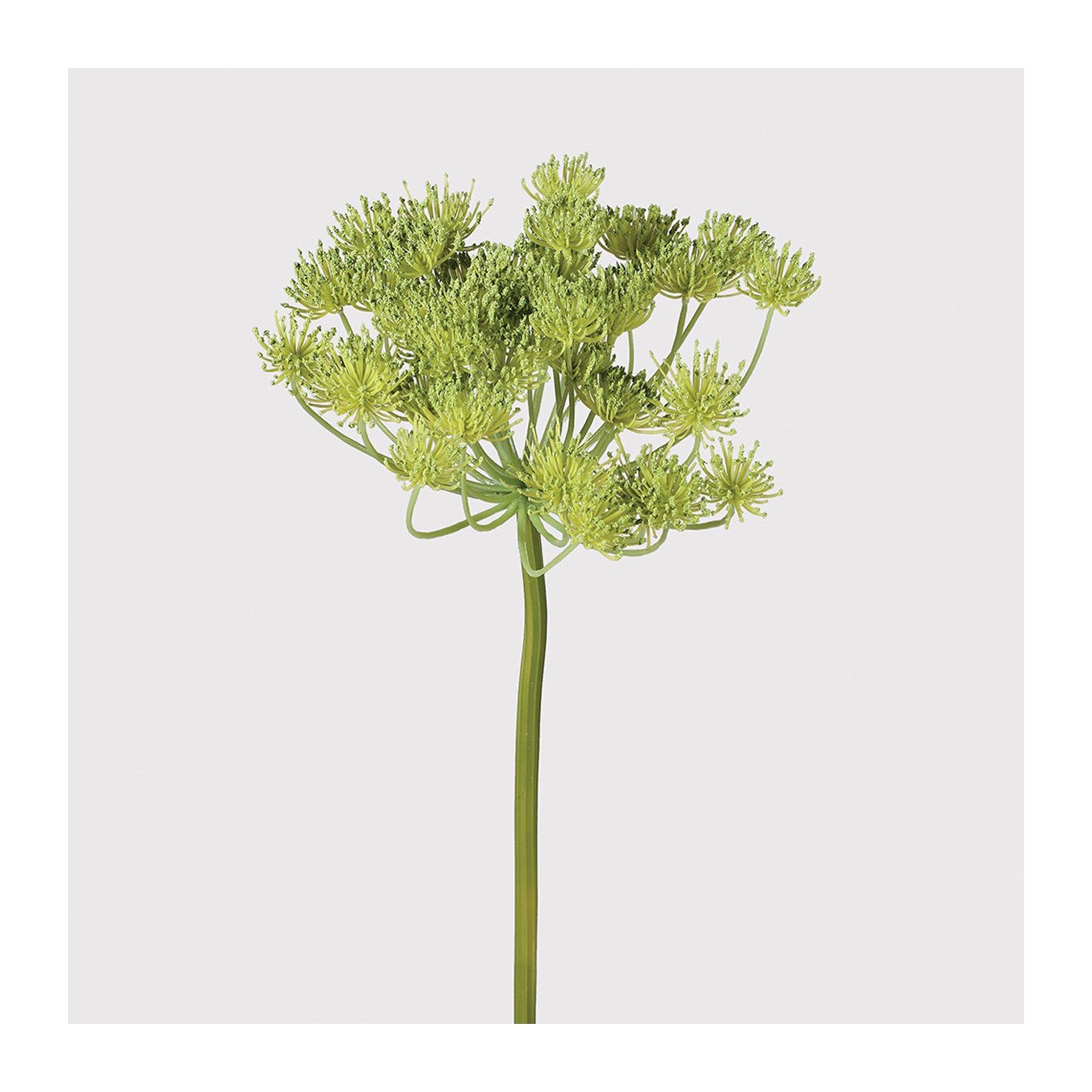 Spray of faux Queen Anne Lace in green colour, on thick stems   Dimensions: H:600 mm  Delivery: 7-10 days